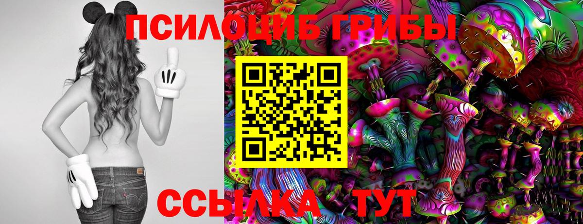 Медногорск  Псилоцибиновые грибы ЛСД  что такое   Вход с VPN 
