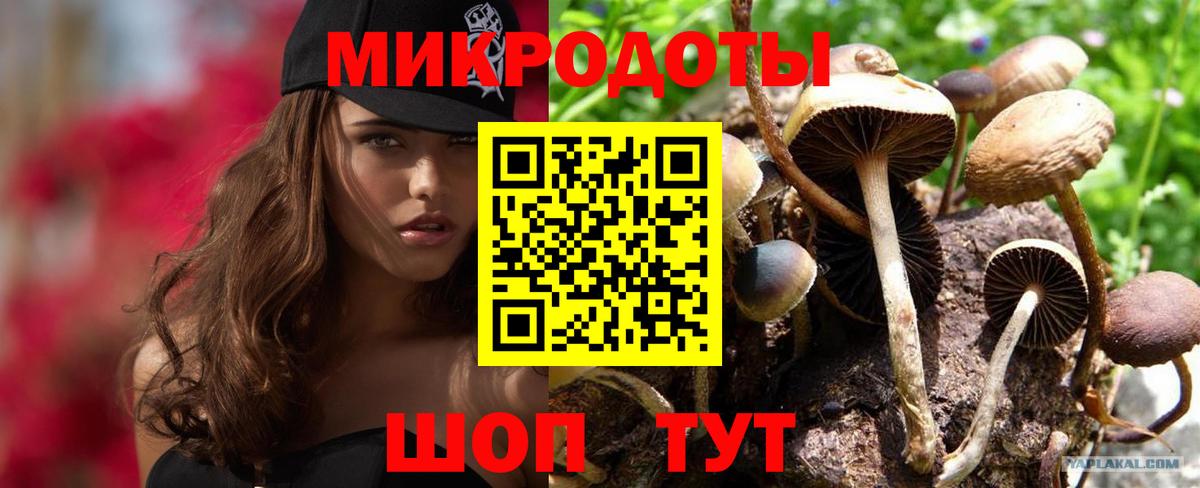 Галлюциногенные грибы прущие грибы Медногорск
